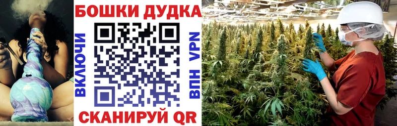 где можно купить наркотик  Весьегонск  Бошки марихуана LSD WEED 
